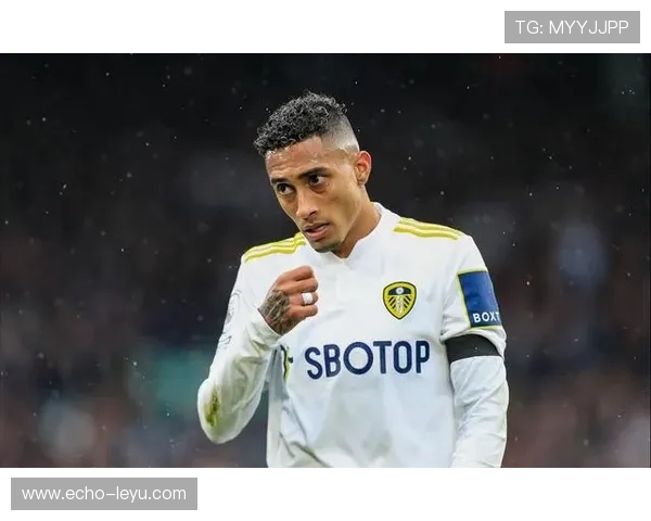 拉菲尼亚：巴西国家队边路主力竞争者