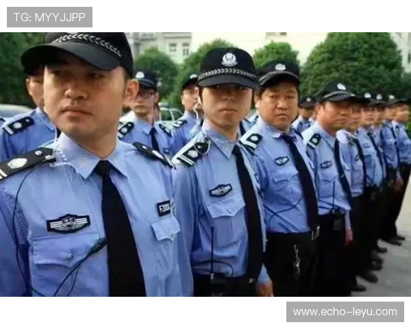 深入探讨篮球裁判判罚流程的具体环节与规则解析依据